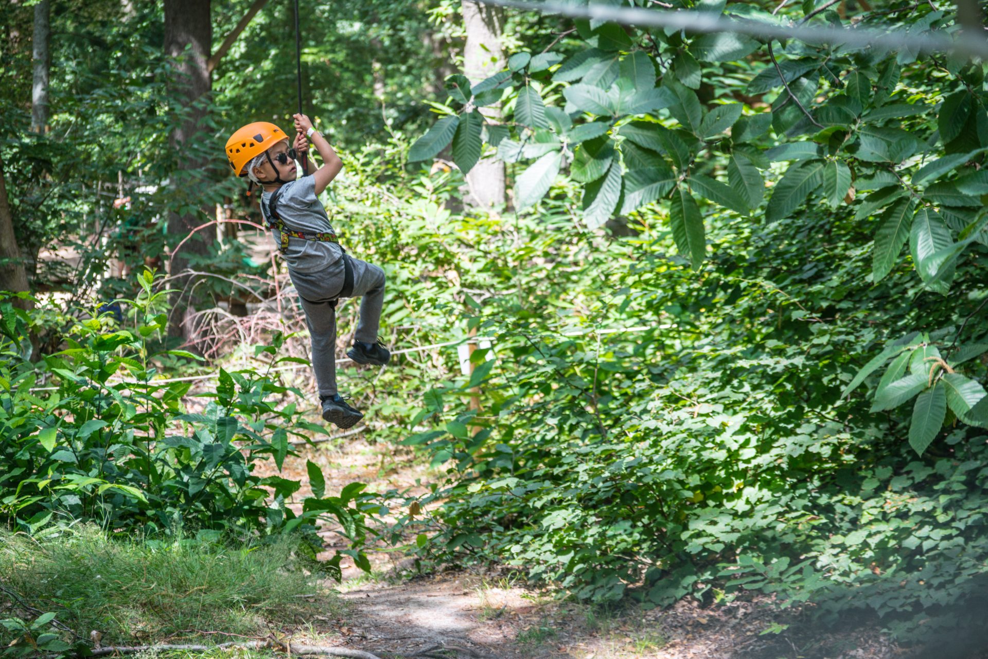 Accrobranche chez AccroCamp au printemps