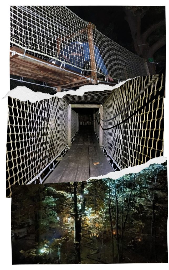 Parcours accrobranche nocturne