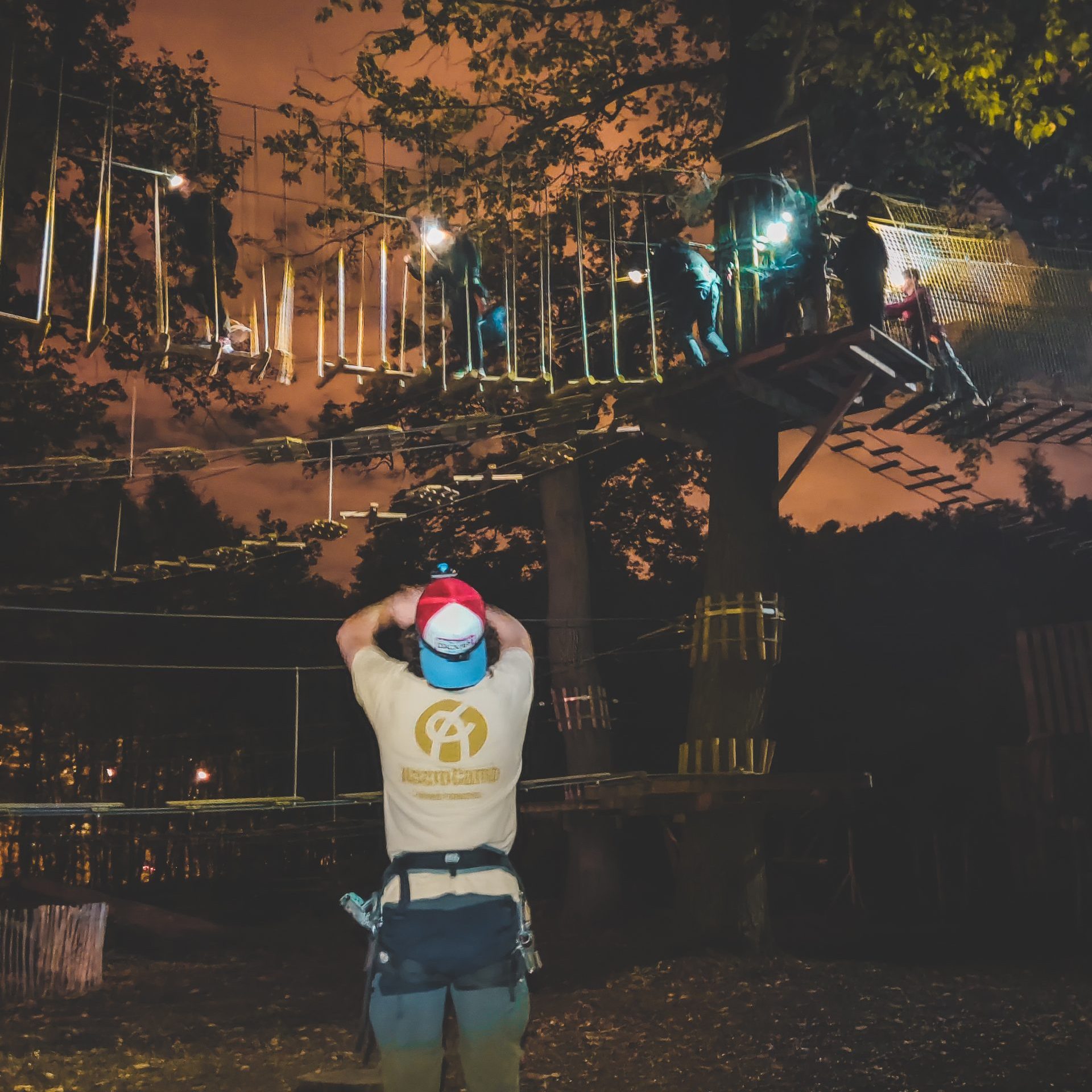 Halloween dans les arbres