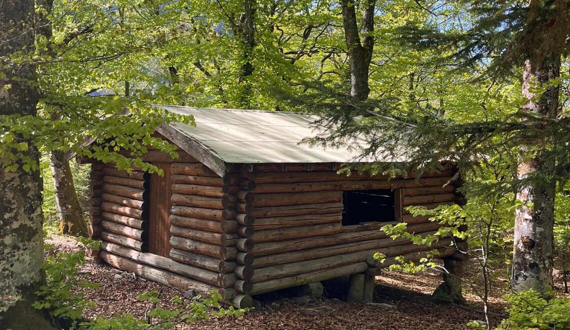 Photo activités parc accrobranche Hébergement Nature au Fort de Tamié : Dormez au coeur de l&rsquo;aventure