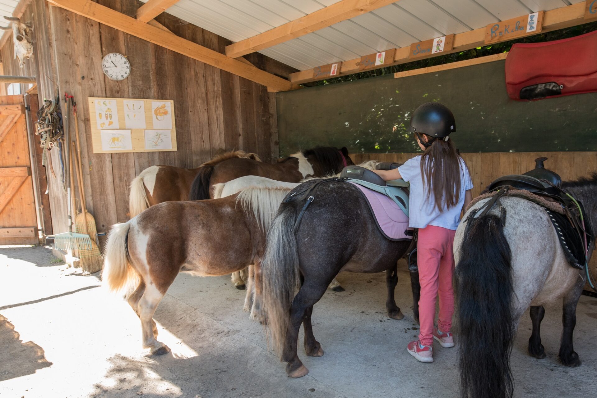 Photo activités parc accrobranche Balade à Poney