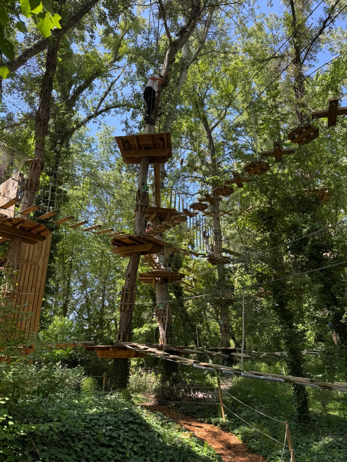 Activité plein air en famille à AccroCamp Toulouse