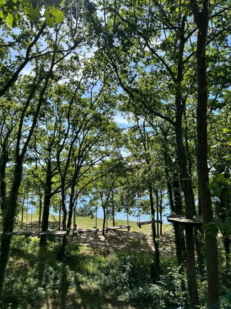 Un parcours accrobranche avec vue sur le lac de la base de loisirs