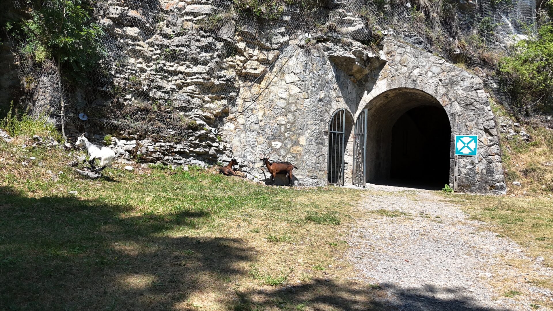 Parc AccroCamp vue aérienne