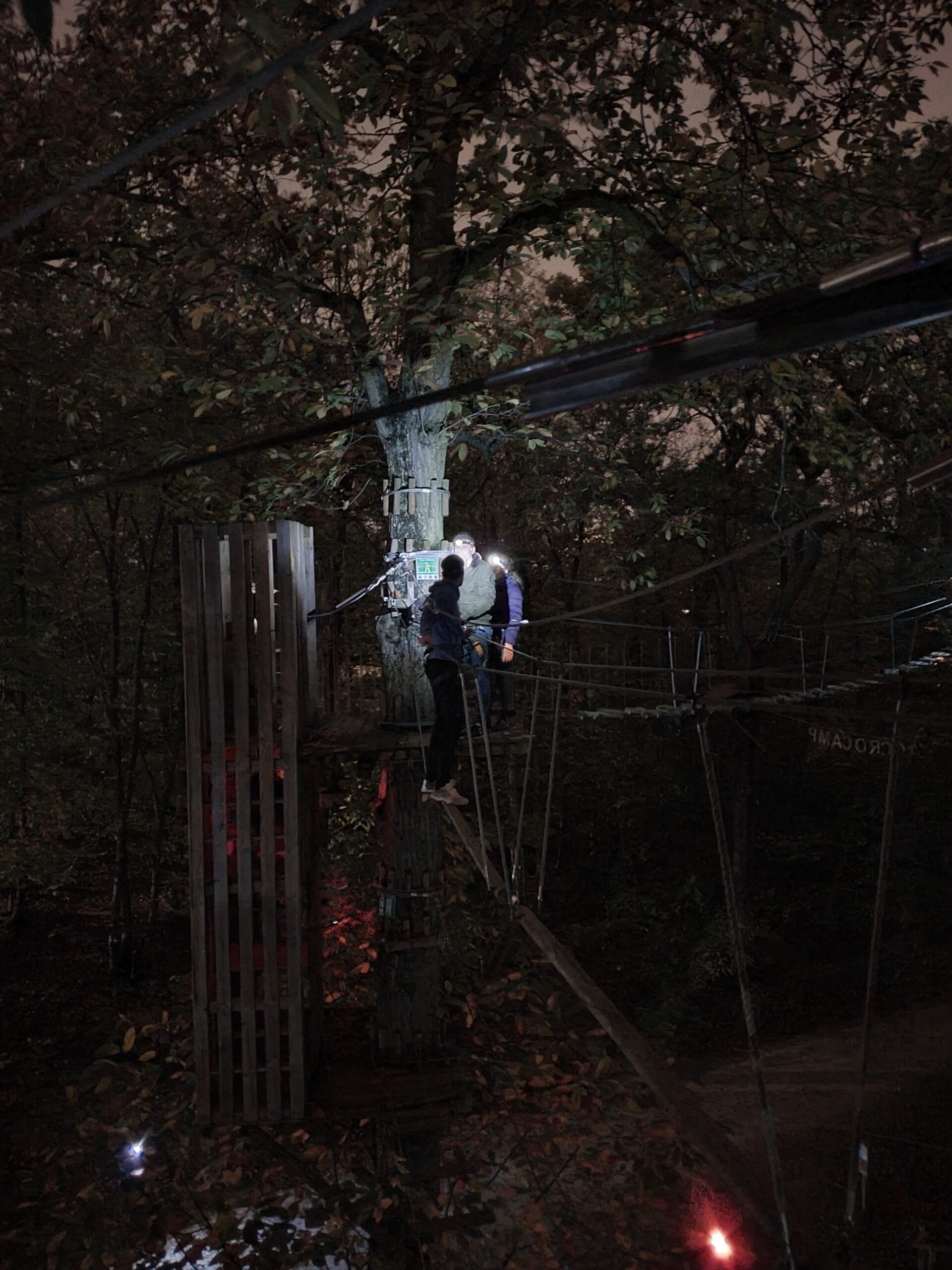 Accrobranche de nuit Créteil Val-de-Marne