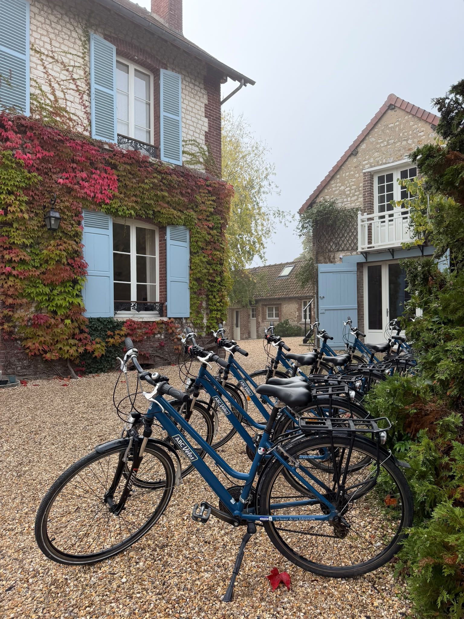 Photo activités parc accrobranche Location de Vélos à Chartres (28) : Visitez la Ville et la Cathédrale en Famille